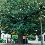 Du Vieux