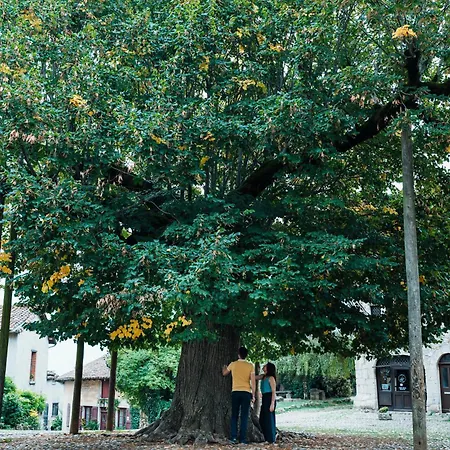 Du Vieux