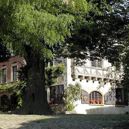 Du Vieux 3* Pérouges